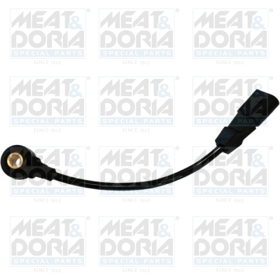 Knock Sensor